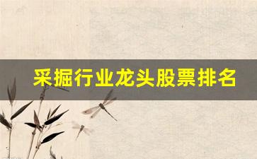 采掘行业龙头股票排名(采掘行业龙头股票排名榜)_https://www.hhem8.com_深交所_第1张
