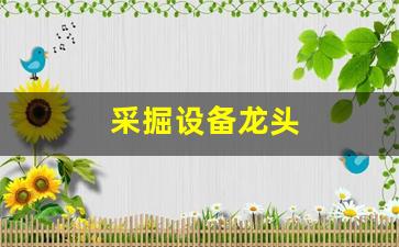 采掘设备龙头(采掘设备龙头企业排名)_https://www.wanyuyiyao.com_创业板_第1张
