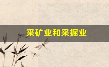 采矿业和采掘业(采矿业和采掘业一样吗)_https://www.wanyuyiyao.com_深交所_第1张