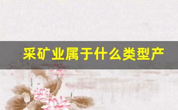采矿业属于什么类型产业(采矿业属于什么类型产业类别)_https://www.huakunhengjia.com_金融资讯_第1张