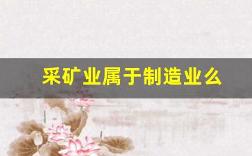 采矿业属于制造业么(采矿业属于制造业么嘛)_https://www.huakunhengjia.com_股票资讯_第1张