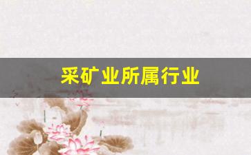 采矿业所属行业(采矿业是指)_https://www.huakunhengjia.com_金融资讯_第1张