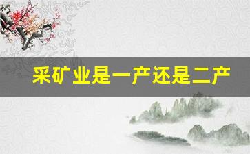 采矿业是一产还是二产业(采矿业是工业吗)_https://www.huakunhengjia.com_期货资讯_第1张