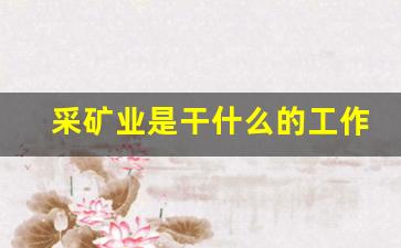 采矿业是干什么的工作(采矿业好做吗)_https://www.hhem8.com_北交所_第1张