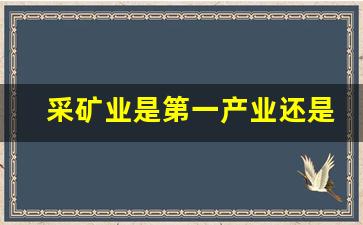 采矿业是第一产业还是第二产业(采矿业是第几产业)_https://www.wanyuyiyao.com_深交所_第1张