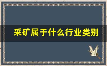 采矿属于什么行业类别(采矿业属于什么类型产业)_https://www.wanyuyiyao.com_深交所_第1张