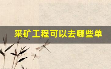 采矿工程可以去哪些单位