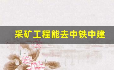 采矿工程能去中铁中建吗(采矿工程能去中铁中建吗工作)_https://www.wguangz.com_广期所_第1张