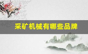 采矿机械有哪些品牌(采矿机械有哪些品牌的)_https://www.hhem8.com_深交所_第1张