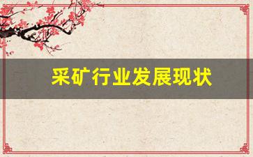 采矿行业发展现状(采矿行业的现状)_https://www.taocizhiliang.com_装修流程_第1张