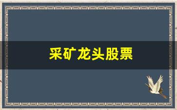 采矿龙头股票(采矿的股票)_https://www.huakunhengjia.com_金融资讯_第1张