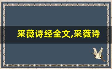 采薇诗经全文,采薇诗经讲了什么,采薇诗经经典句子-第1张图片-我的生活随想