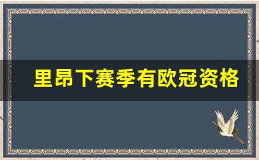 里昂没进欧冠-里昂下赛季有欧冠资格吗