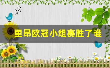 里昂欧冠淘汰-里昂欧冠小组赛胜了谁