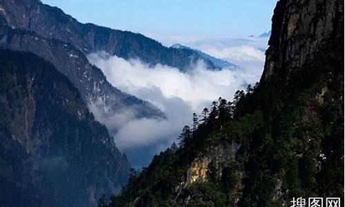 重峦叠嶂云雾缭绕的特点-重峦叠嶂云雾缭绕箭竹丛生这种环境的特