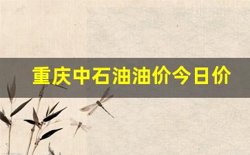 重庆中石油今日油价92汽油价格-重庆中石油油价今日价格