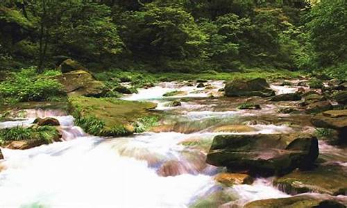 重庆到张家界旅游攻略路线-重庆到张家界旅游攻略路线