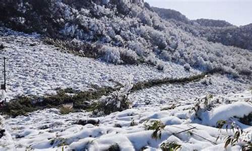 重庆南川金佛山旅游攻略_重庆南川金佛山景点介绍