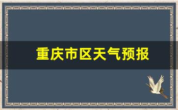重庆市区天气预报_重庆市区天气预报15天查询百度