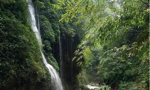 重庆黑山谷景区景点介绍,重庆旅游景点黑山谷