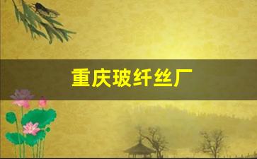 重庆玻纤丝厂(重庆有哪些玻纤厂)_https://www.huakunhengjia.com_期货资讯_第1张