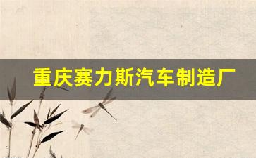 重庆赛力斯汽车制造厂(重庆赛力斯工厂待遇)_https://www.qldgs.com_原油期货_第1张