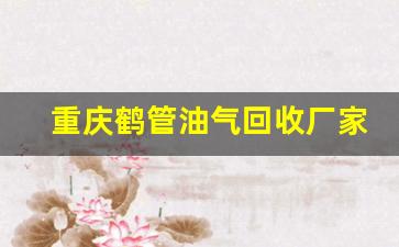 重庆鹤管油气回收厂家地址(重庆鹤管油气回收厂家地址在哪里)(1)