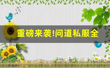 重磅来袭!问道私服全新版本惊喜连连!