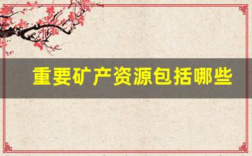 重要矿产资源包括哪些(重要矿产资源名录)_https://www.wanyuyiyao.com_上交所_第1张