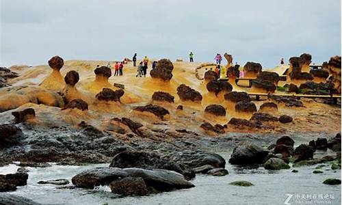 野柳地质公园的象征_野柳地质公园的象征是什么