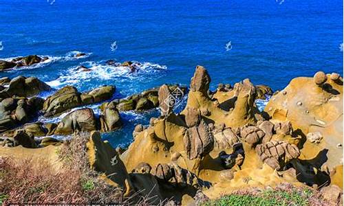 野柳地质公园自然景观有哪些,野柳地质公园自然景观