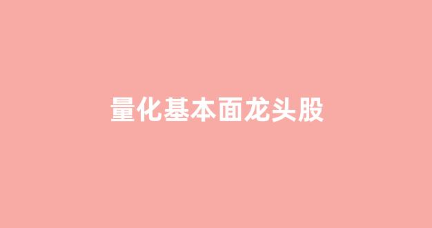 量化基本面龙头股(量化基本面分析)_https://www.hhem8.com_深交所_第1张