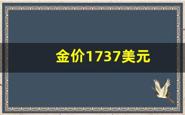 金价1737美元_金价 美国