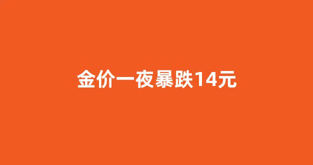 金价一夜暴跌14元_金价一夜暴跌14元