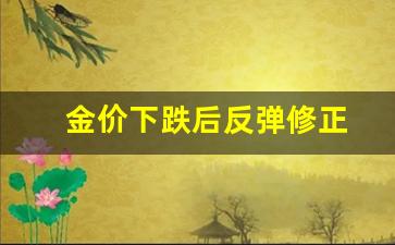 金价下跌后反弹修正_金价价格下跌