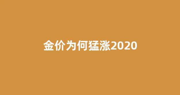 金价为何猛涨2020_金价最近为什么涨了这么多