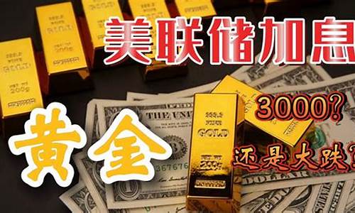 金价会涨到320吗_金价还会升吗