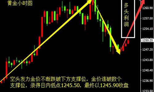 金价反弹后续报道怎么写_黄金价格反弹