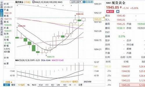 金价行情情况分析报告模板_金价行情情况分析报告