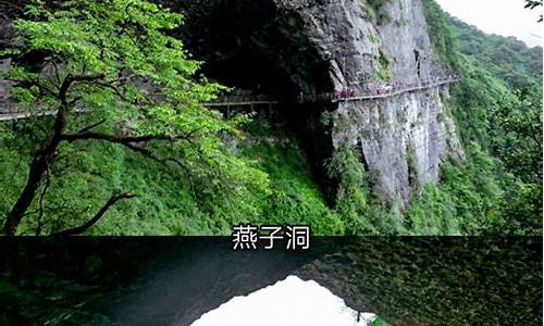 金佛山旅游攻略自驾_金佛山 旅游攻略