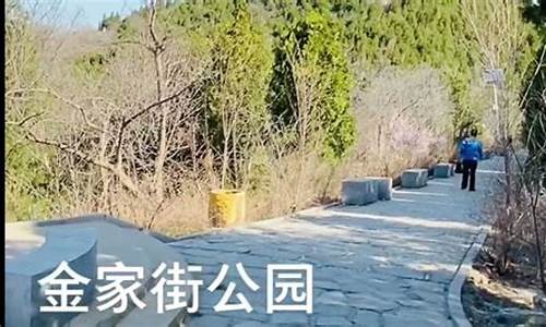 金家街公园后山_金家街公园后山现在怎么样