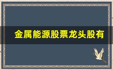 金属能源股票龙头股有哪些(金属铟股票龙头股有哪些)_https://www.wguangz.com_上期所_第1张