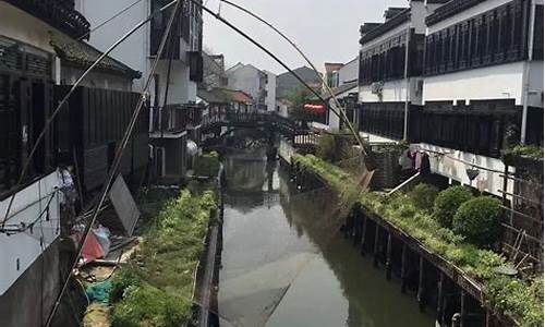 金山实时天气预报查询_金山实时天气预报