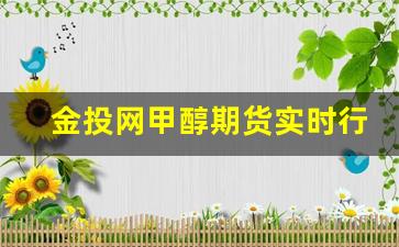 金投网甲醇期货实时行情_https://www.jianghaiboli.com_黄金期货_第1张