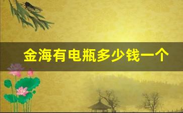 金海有电瓶多少钱一个(金海有电池耐用吗)_https://www.hangfeite.com_北交所_第1张