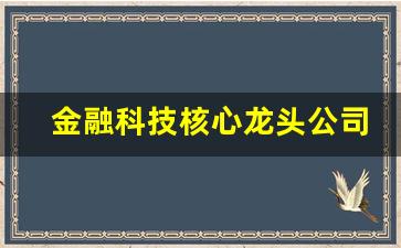 金融科技核心龙头公司(金融科技行业龙头)_https://www.dongshengweixin.com_科创板_第1张
