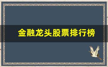 金融龙头股票排行榜(金融龙头股票排行榜)_https://www.wanyuyiyao.com_深交所_第1张