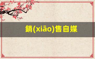 銷(xiāo)售自媒體運營(yíng)插圖