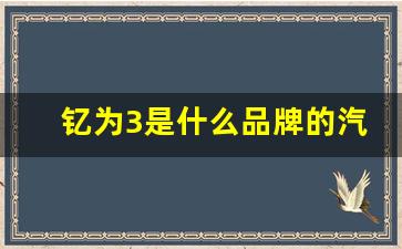 钇为3是什么品牌的汽车(华为造的汽车是什么品牌)_https://www.wanyuyiyao.com_上交所_第1张