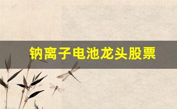 钠离子电池龙头股票(钠离子电池股票龙头股)_https://www.taocizhiliang.com_效果图_第1张